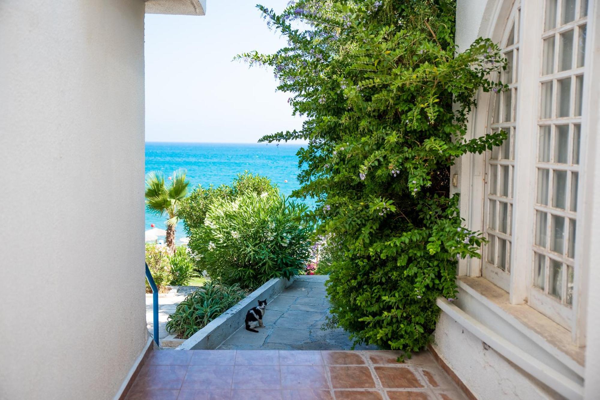 Pissouri Bay Studio 外观 照片